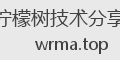 柠檬树技术分享