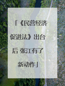 《民营经济促进法》出台后 张江有了新动作