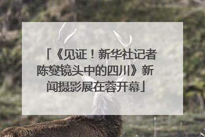 《见证！新华社记者陈燮镜头中的四川》新闻摄影展在蓉开幕
