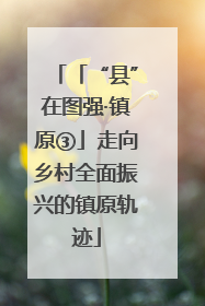 「“县”在图强·镇原③」走向乡村全面振兴的镇原轨迹