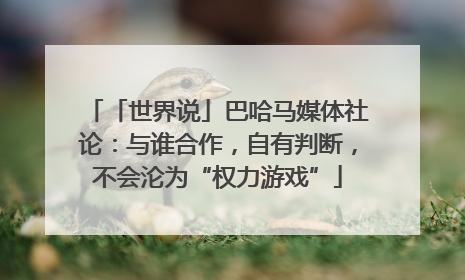 「世界说」巴哈马媒体社论：与谁合作，自有判断，不会沦为“权力游戏”