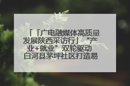 「广电融媒体高质量发展陕西采访行」“产业+就业”双轮驱动 白河县茅坪社区打造易地搬迁后扶新样本