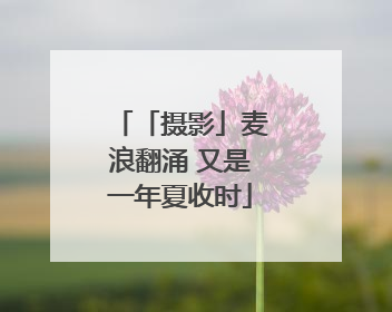 「摄影」麦浪翻涌 又是一年夏收时