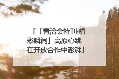 「青洽会特刊·精彩瞬间」高原心跳 在开放合作中澎湃