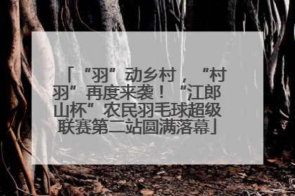 “羽”动乡村，“村羽”再度来袭！“江郎山杯”农民羽毛球超级联赛第二站圆满落幕