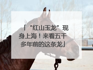 “红山玉龙”现身上海！来看五千多年前的这条龙