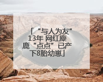 “与人为友”13年 网红麋鹿“点点”已产下8胎幼崽