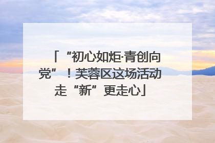 “初心如炬·青创向党”！芙蓉区这场活动走“新”更走心