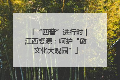 “四普”进行时｜江西婺源：呵护“徽文化大观园”