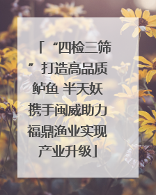 “四检三筛”打造高品质鲈鱼 半天妖携手闽威助力福鼎渔业实现产业升级