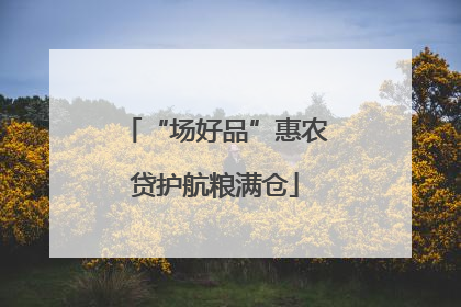 “场好品”惠农贷护航粮满仓