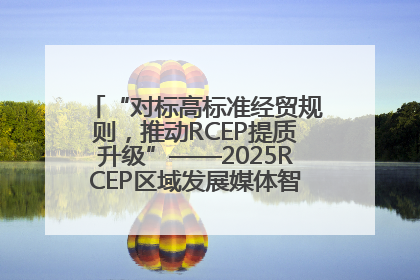 “对标高标准经贸规则，推动RCEP提质升级”——2025RCEP区域发展媒体智库论坛举行专题对话