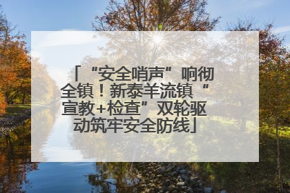 “安全哨声”响彻全镇！新泰羊流镇“宣教+检查”双轮驱动筑牢安全防线