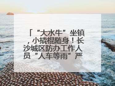 “大水牛”坐镇，小撬棍随身！长沙城区防办工作人员“人车等雨”严阵以待