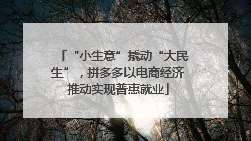 “小生意”撬动“大民生”，拼多多以电商经济推动实现普惠就业