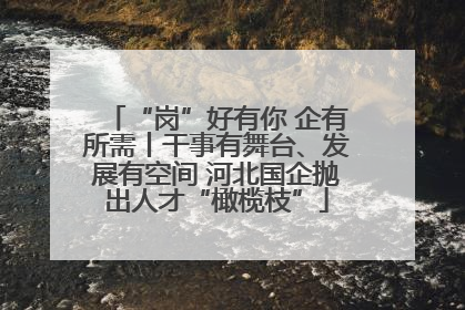 “岗”好有你 企有所需丨干事有舞台、发展有空间 河北国企抛出人才“橄榄枝”