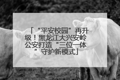 “平安校园”再升级！黑龙江大兴安岭公安打造“三位一体”守护新模式
