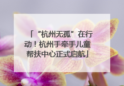“杭州无孤”在行动！杭州手牵手儿童帮扶中心正式启航