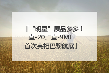 “明星”展品多多！直-20、直-9ME首次亮相巴黎航展