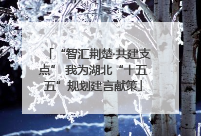 “智汇荆楚·共建支点” 我为湖北“十五五”规划建言献策