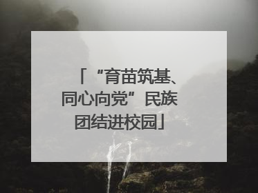 “育苗筑基、同心向党”民族团结进校园