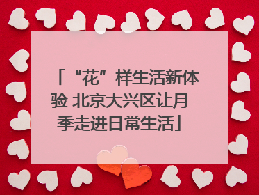 “花”样生活新体验 北京大兴区让月季走进日常生活