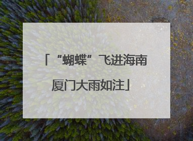 “蝴蝶”飞进海南 厦门大雨如注