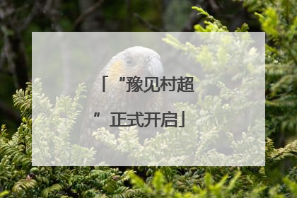 “豫见村超”正式开启