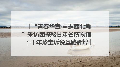 “青春华章·重走西北角”采访团探秘甘肃省博物馆：千年珍宝诉说丝路辉煌
