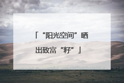 “阳光空间”晒出致富“籽”