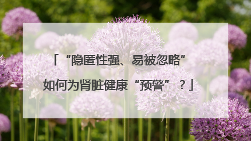 “隐匿性强、易被忽略” 如何为肾脏健康“预警”？