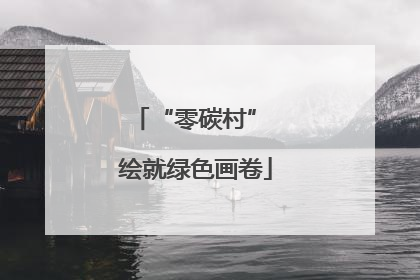“零碳村” 绘就绿色画卷