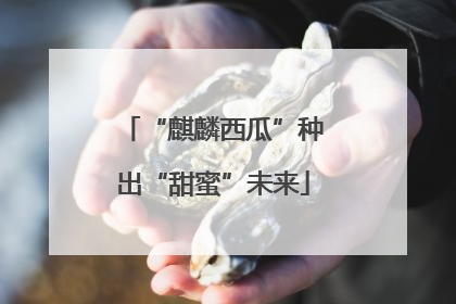 “麒麟西瓜”种出“甜蜜”未来