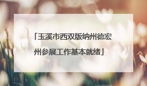 玉溪市西双版纳州德宏州参展工作基本就绪