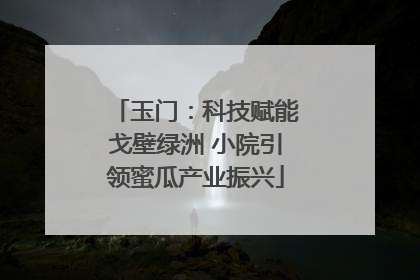 玉门：科技赋能戈壁绿洲 小院引领蜜瓜产业振兴