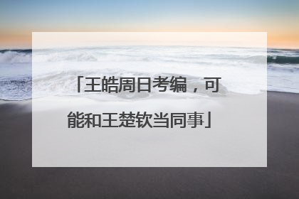 王皓周日考编，可能和王楚钦当同事