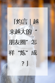 灼言｜越来越大的“朋友圈”怎样“炼”成？