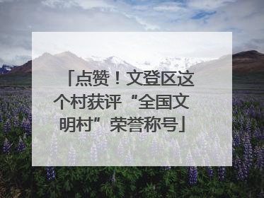 点赞！文登区这个村获评“全国文明村”荣誉称号