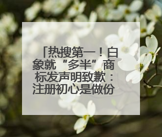 热搜第一！白象就“多半”商标发声明致歉：注册初心是做份量区分，将尽快调整