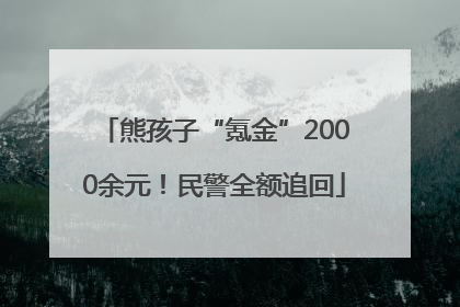 熊孩子“氪金”2000余元！民警全额追回