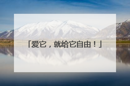 爱它，就给它自由！
