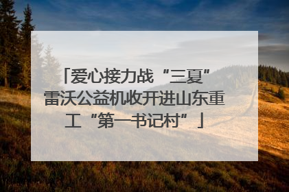 爱心接力战“三夏” 雷沃公益机收开进山东重工“第一书记村”