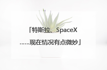 特斯拉、SpaceX……现在情况有点微妙