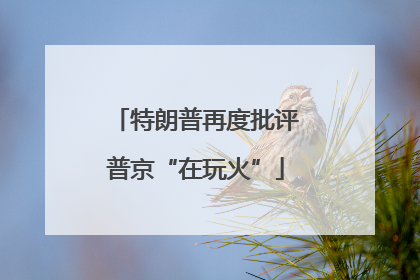 特朗普再度批评普京“在玩火”
