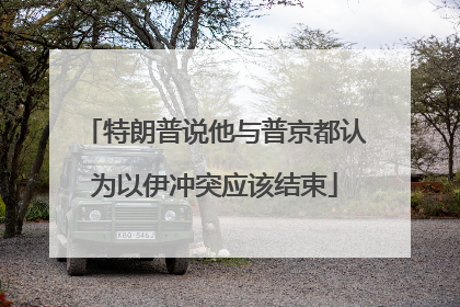 特朗普说他与普京都认为以伊冲突应该结束