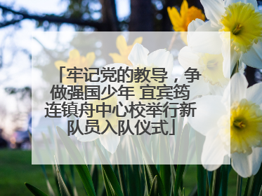 牢记党的教导，争做强国少年 宜宾筠连镇舟中心校举行新队员入队仪式