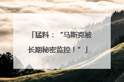 猛料：“马斯克被长期秘密监控！”