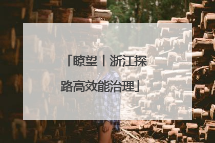 瞭望丨浙江探路高效能治理