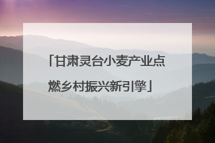 甘肃灵台小麦产业点燃乡村振兴新引擎