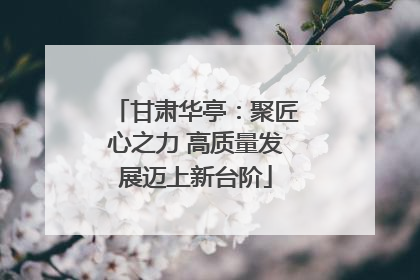 甘肃华亭：聚匠心之力 高质量发展迈上新台阶